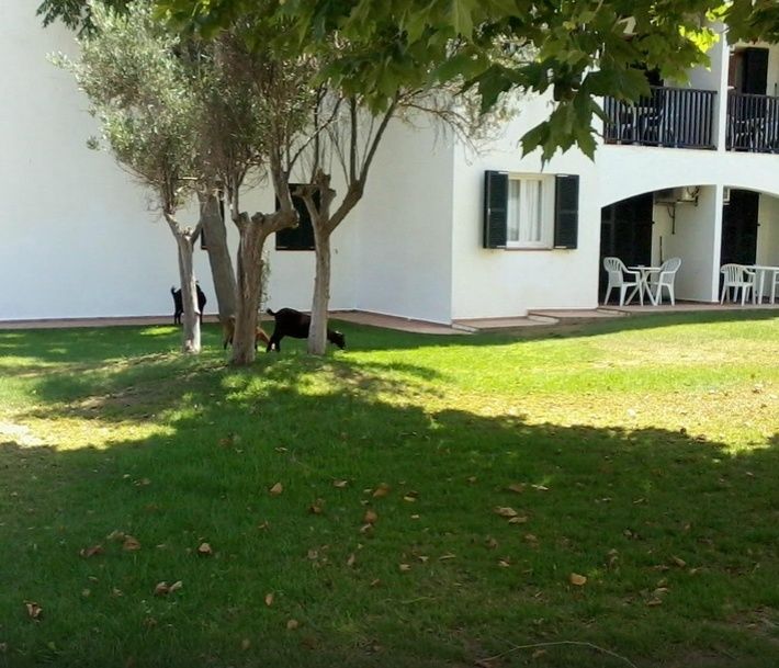 Aparthotel Seth Sa Mirada Arenal d'en Castell Exterior foto
